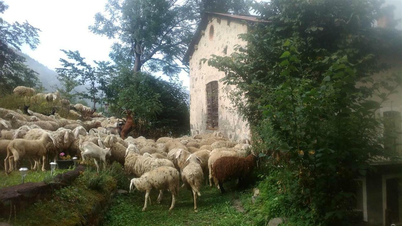 B&B L'Abric - Centro Storico Di Limonetto Limone Piemonte Eksteriør bilde